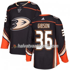 Miesten NHL Anaheim Ducks Pelipaita John Gibson 36 Adidas 2017-2018 Musta Authentic